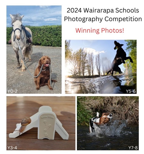 The winning photos from the 2024 Wairarapa Schools Photography Competition - Animals at Play. What fantastic images, congratulations! Y0-2: Jonty from Kahutara School. Y3-4:Frankie from St Mary's School. Y5-6: Rupert from Fernridge School. Y7-8: Hannah from Gladstone School. 